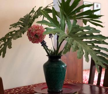 Albany Bed & Breakfast | Welcoming Albany Foreshore Guest House with Breakfast
