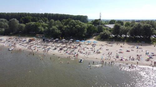 Calarasi Resort | Albatros: Pet-Friendly Hotel with Oceanfront Views