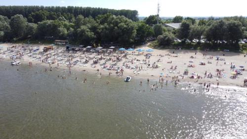 Calarasi Resort | Albatros: Pet-Friendly Hotel with Oceanfront Views
