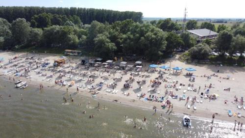 Calarasi Resort | Albatros: Pet-Friendly Hotel with Oceanfront Views