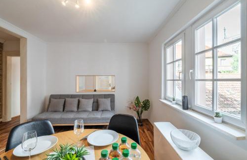 Pforzheim Apartment | Albau apartment in loft style Apt7