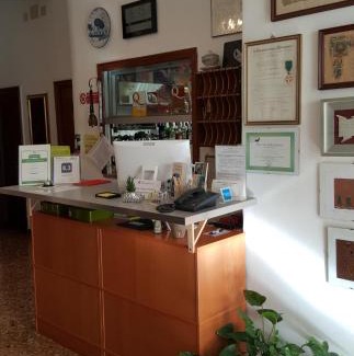 Celle Ligure Hotel | Budget-Friendly Stay at Albergo Adriana with Restaurant