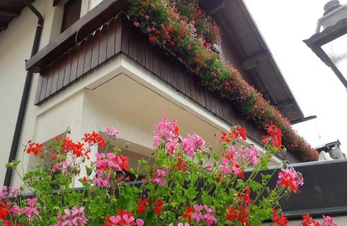 Zoldo Alto Hotel | Charming Albergo al Sole: Top Rated Dining & Breakfast