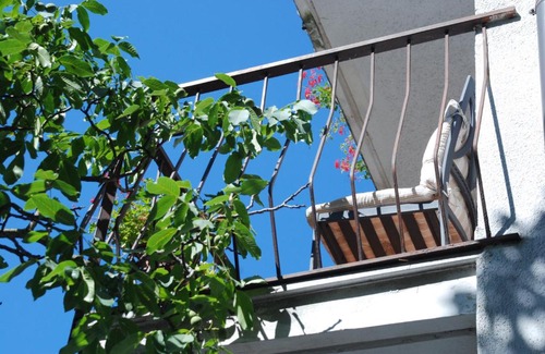 Altipiano Est Hotel | Discover Albergo Alla Valle di Banne: Pet-Friendly Retreat