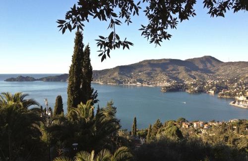 Santa Margherita Ligure Hotel | Cozy Stay at Albergo Annabella - Pet and Child Friendly