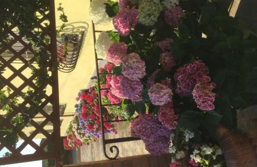 Cocconi Hotel | Pet-Friendly Stay at Albergo Il Gufo - Rated 9/10!