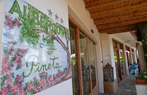 Marina di Andora Hotel | Pet-Friendly Albergo La Pineta with Oceanfront Views