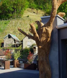 Gordola Hotel | Discover Albergo Porta Verzasca: Pet-Friendly Oceanfront Retreat