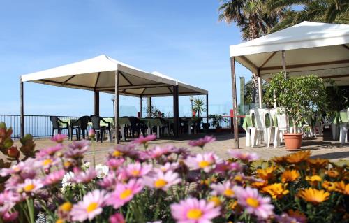Santo Stefano al Mare Hotel | Discover Albergo Ristorante Lucciola: Pet-Friendly Retreat