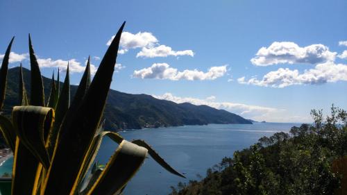 Cinque Terre Hotel | Albergo Suisse Bellevue: Guest Rated 9/10 with Breakfast