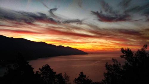 Cinque Terre Hotel | Albergo Suisse Bellevue: Guest Rated 9/10 with Breakfast