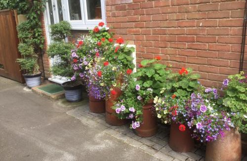 New Forest District Bed & Breakfast | Discover Albertine: Guest Rated 9.5/10 for Comfort