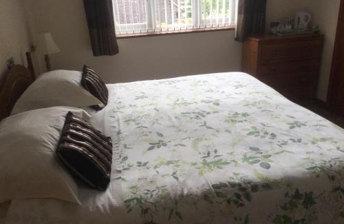 New Forest District Bed & Breakfast | Discover Albertine: Guest Rated 9.5/10 for Comfort