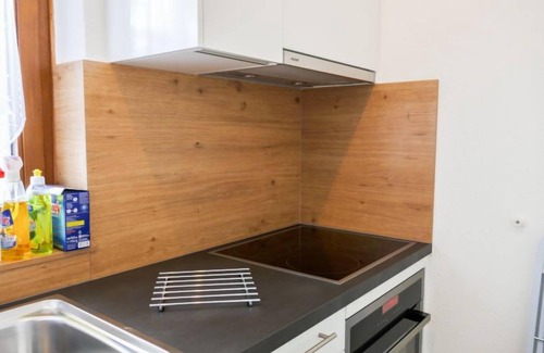 Davos Apartment | Guest Rated: Comfortable Albertistrasse Apt. 9 with Lake View