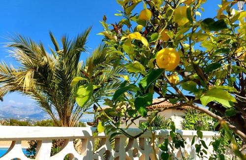 El Albir House | Experience Albir Resort: Family-Friendly with Ocean Views