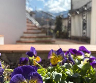 San Severino Lucano Apartment | Pet-Friendly Albori with Ocean View & Perfect 10/10 Rating