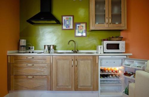 Merida Old Town Apartment | Alcazaba Suites: Family-Friendly with Pet and Kitchen Amenities