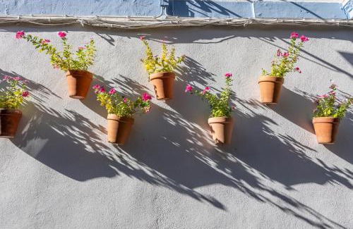 San Basilio Apartment | Experience Tranquility at Despertar en San Basilio Hotel