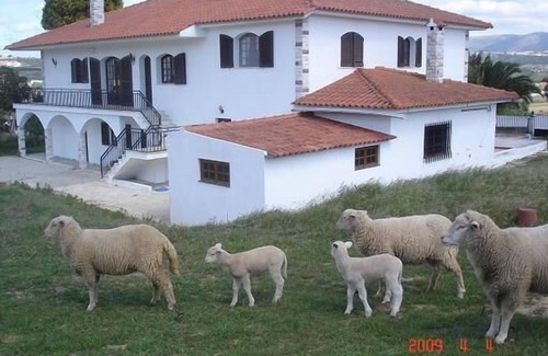 Alcobaca House | Relaxing Getaway at Casa São Bernardo in Alcobaça