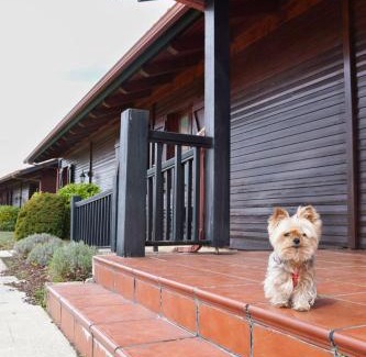 Palas de Rei Cabin | Pet-Friendly Alda Palas de Rei with Breakfast Included