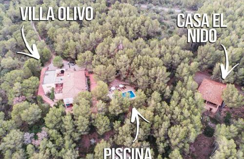 Mont-roig del Camp Bed & Breakfast | Discover AldeaMia: Forest Retreat with Beach Access