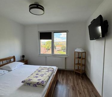 Tirgu Mures Apartment | Top-Rated ALE TEO APARTAMENT: Family-Friendly Retreat