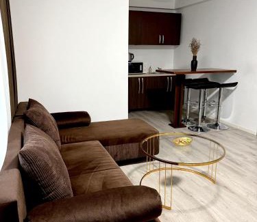 Techirghiol Apartment | Discover Alexander Home: Family & Pet-Friendly Retreat