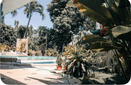 Danao House | Top-Rated Alf's Guesthouse with Oceanfront Pool & Breakfast