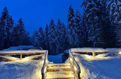 Panichishte Hotel | Discover Algara Hut: Family-Friendly with Top Reviews