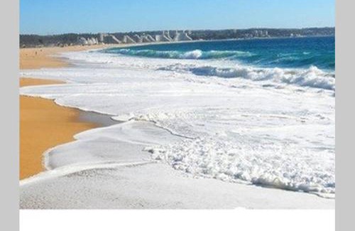 Mirasol Apartment | Beautiful Algarrobo Norte Apartmento with Ocean View & Pool