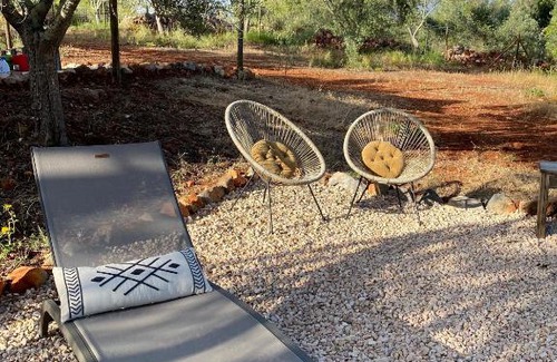 Silves Other | Exceptional Algarve Olive Tree Lodge with Oceanfront Pool