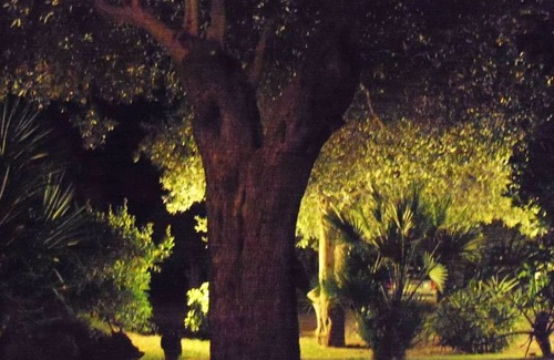 Alghero Apartment | Idyllic Alghero Apartment with Spa and Pet-Friendly Perks