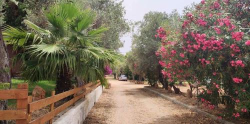 Alghero Apartment | Top-Rated Alghero Guest House with Pool & Breakfast Included