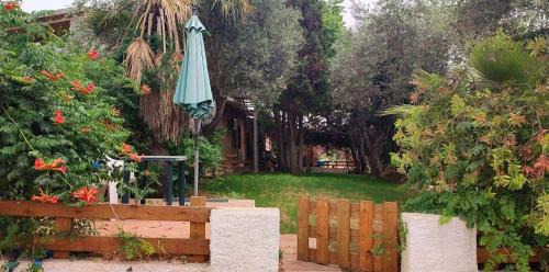 Alghero Apartment | Top-Rated Alghero Guest House with Pool & Breakfast Included