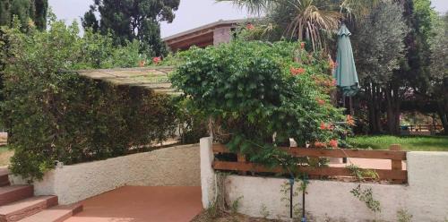 Alghero Apartment | Top-Rated Alghero Guest House with Pool & Breakfast Included