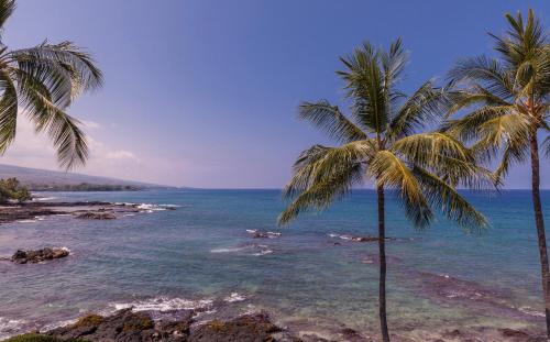 Kailua-Kona House | Exceptional Ali'i Point Oceanfront Villa with Pool & A/C