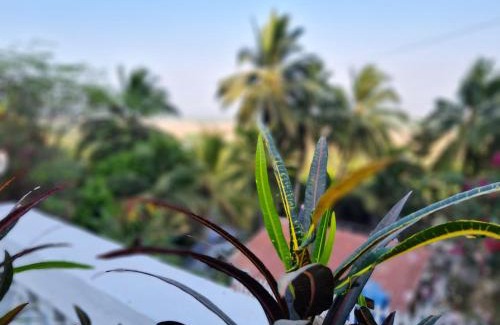 Yesade Villa | Relaxing Alibag Outpost 2BHK AC Villa Near Kashid Beach
