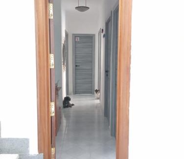 Alicante House | Budget-Friendly Oasis Room in Alicante - Family & Pet Friendly