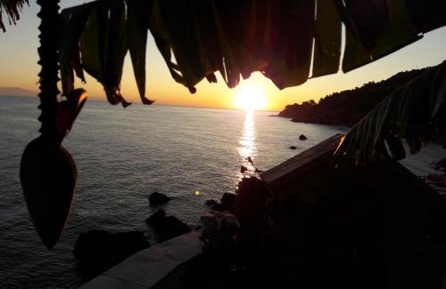 Karlovassi Apartment | Oceanfront Alkioni Studios: Pet Friendly & Family Approved