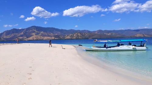 Riung Other | All-Inclusive Paradise Experience - Boat Tour, Snorkeling & Island Camping