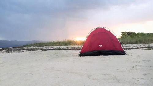 Riung Other | All-Inclusive Paradise Experience - Boat Tour, Snorkeling & Island Camping