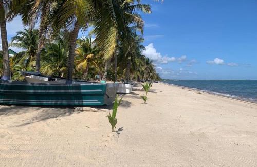 Hopkins House | Oceanfront Getaway at All Seasons Belize - Rated 8.7/10