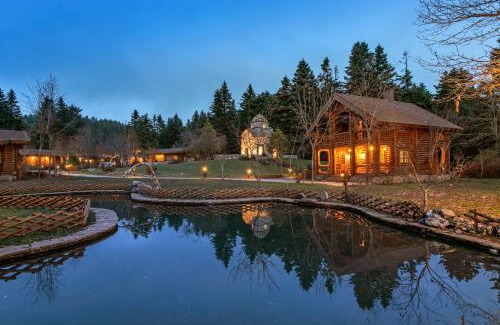 Arcadia Region Ski Chalet | Discover All Seasons Paradise: Pet-Friendly 4-Star Retreat