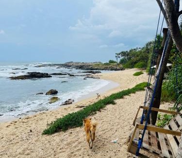 Rekawa Hotel | Top-Rated All View Resort: Oceanfront Escape Awaits