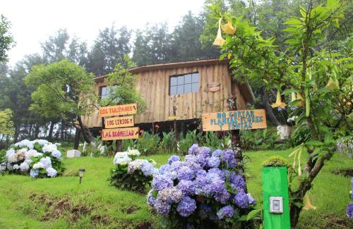 La Palma Cabin | Experience Relaxation at Alla Arriba - Pet Friendly & Pool