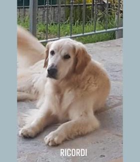 San Marcello Piteglio Bed & Breakfast | Discover Alla Tana del Bianconiglio: Pet-Friendly Retreat