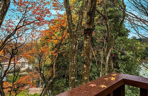 Katoomba Cottage | Allambee Cottage: A Tranquil Retreat with Family-Friendly Perks