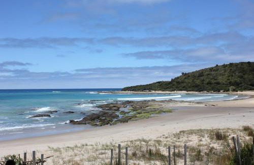 Kennett River House | Discover Allawah at Kennett: Pet-Friendly & Family Ready