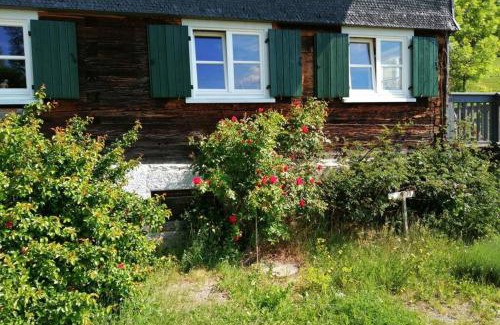 Gruenenbach Apartment | Cozy Allgäu Apartment Rose - Perfect for Families