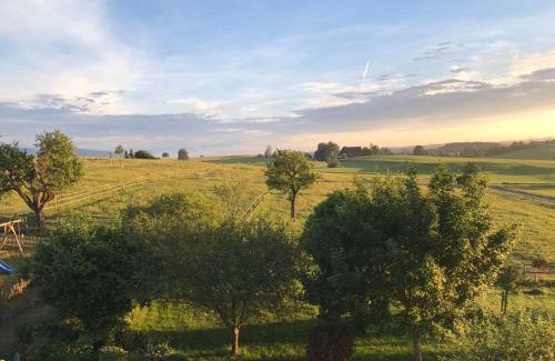 Hergatz Hotel | Allgäu Meadow Ranch: Pet-Friendly Retreat with Ocean Views